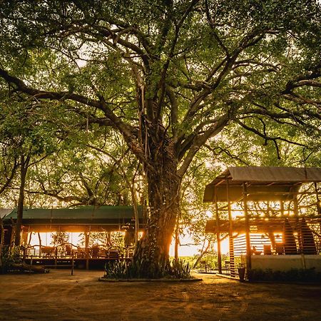 Askiesbos - Samochima Bush Camp Shakawe Exteriér fotografie