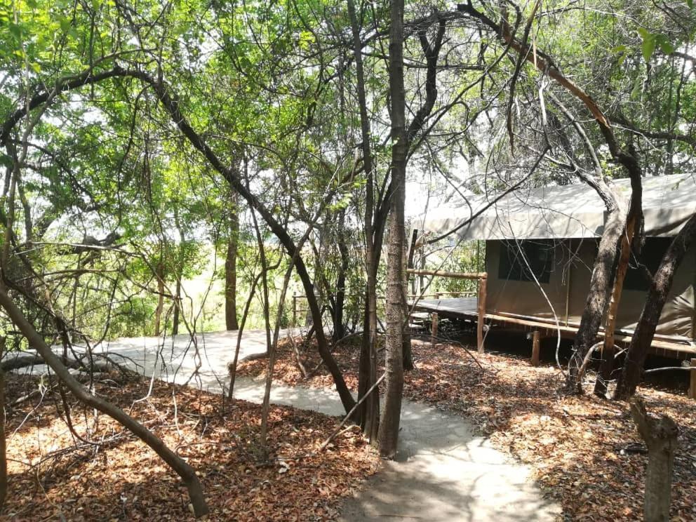 Askiesbos - Samochima Bush Camp Shakawe Exteriér fotografie