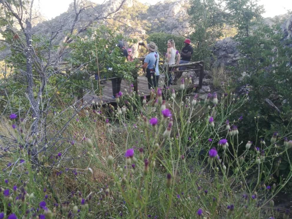 Askiesbos - Samochima Bush Camp Shakawe Exteriér fotografie