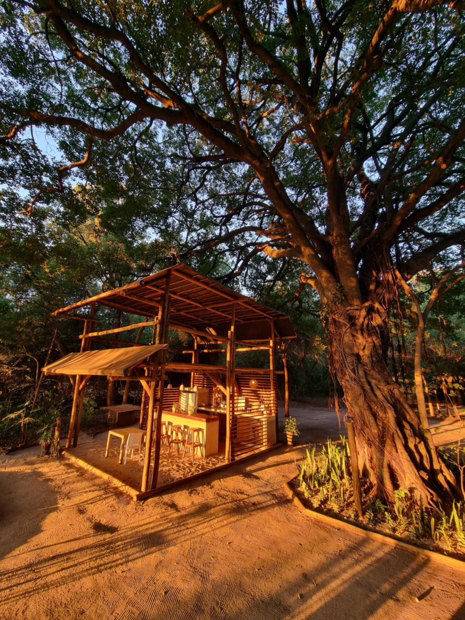 Askiesbos - Samochima Bush Camp Shakawe Exteriér fotografie