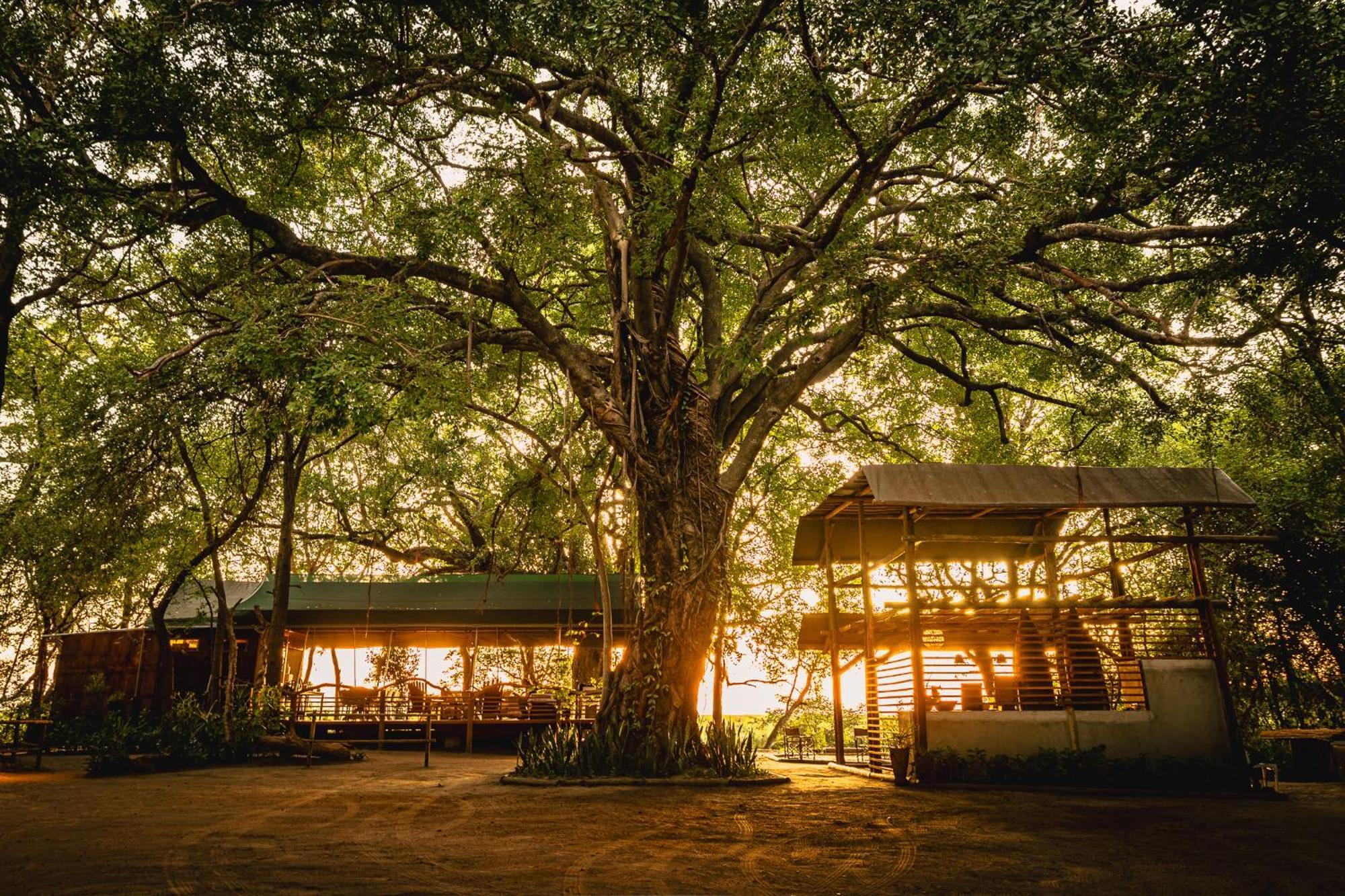 Askiesbos - Samochima Bush Camp Shakawe Exteriér fotografie